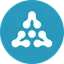 ARSE logo