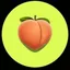 ASS logo