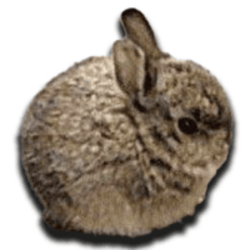 BUN logo