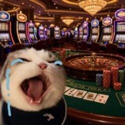 CASINO logo