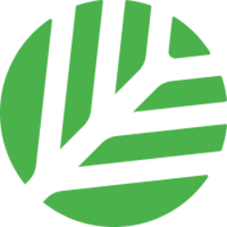 CNPY logo