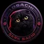 DSACHI logo