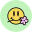 HAI logo