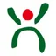 HAVA logo