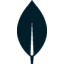 MongoDB logo