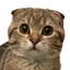 MUSHU logo