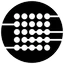 RIZE logo