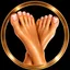 TOES logo