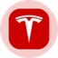 TSLAON logo