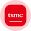 TSMON logo