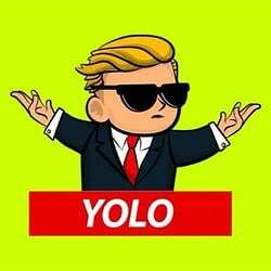 YOLO logo