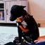 ZEUS logo